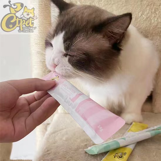 Differences between the digestive and nutritional needs of dogs and cats