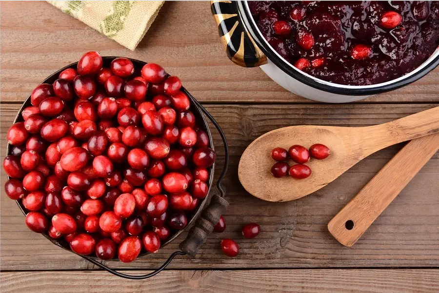 foods to improve the immunity of dogs and their eating methods