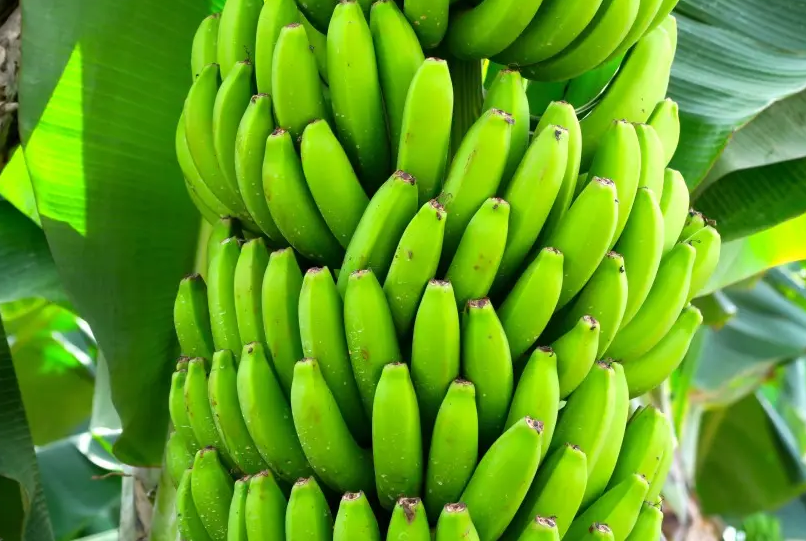62e8c40b3ca6c.png