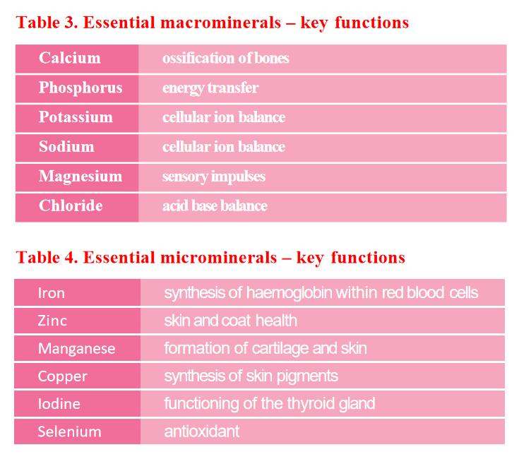 The importance of minerals for pets, which minerals are essential for pet treats?