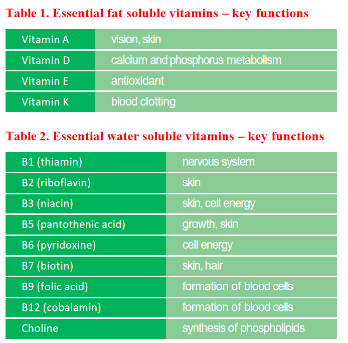 Do You Know What Vitamins Your Pet Needs?