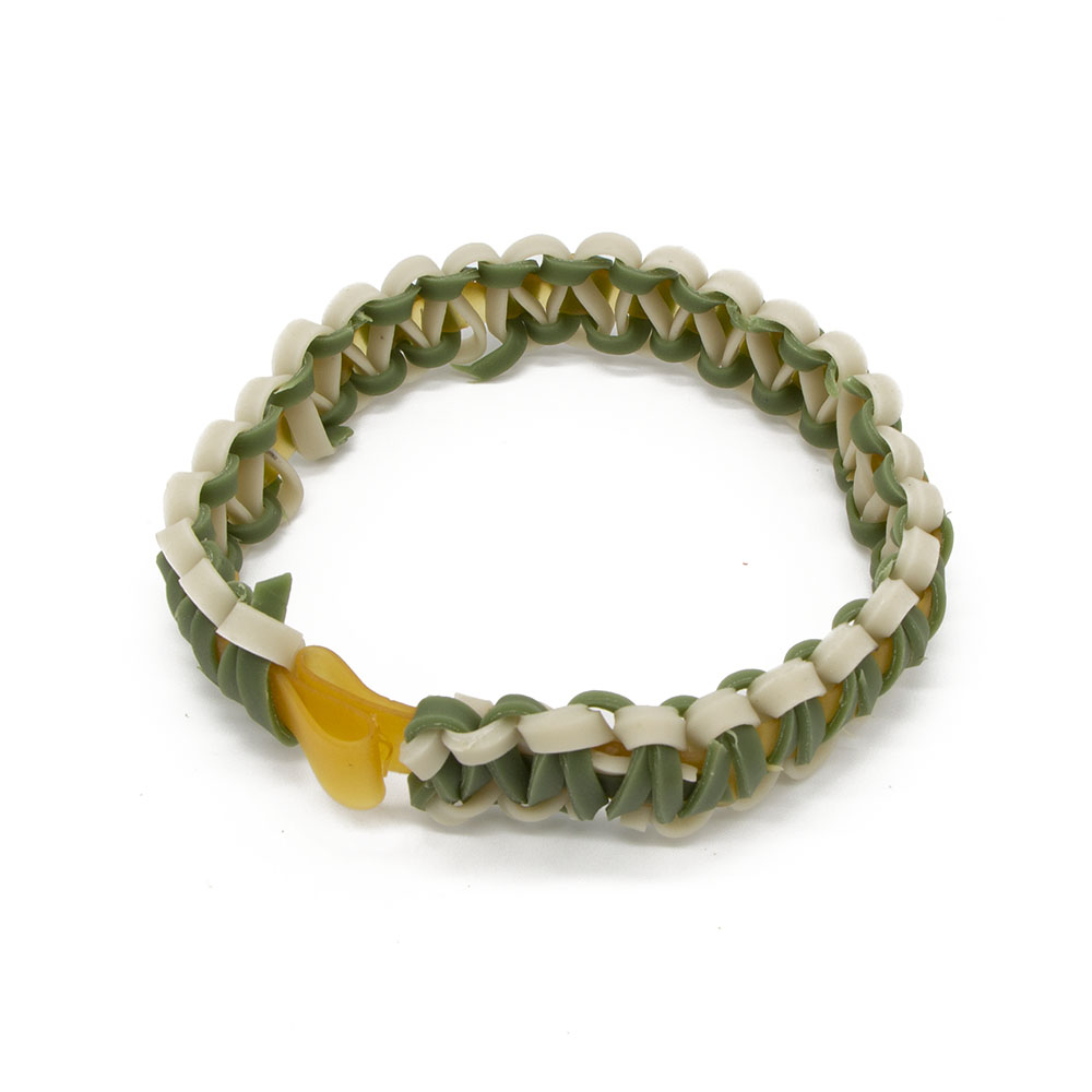 Dental Chewy collar